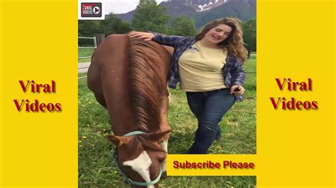 horse Animal porn videos .